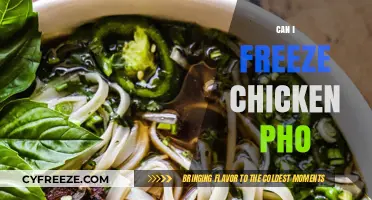 Freezing Chicken Pho: A Complete Guide to Preserve Its Flavor