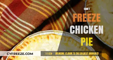 From Oven to Freezer: The Ultimate Guide to Freezing Chicken Pie