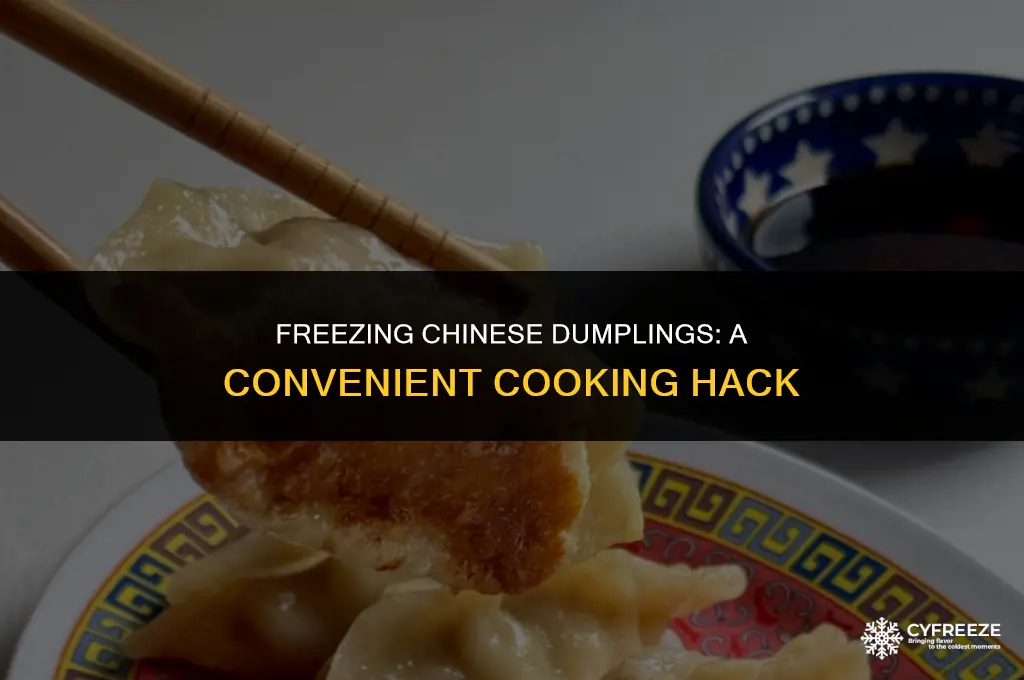 can i freeze chinese dupmlings before i cook them