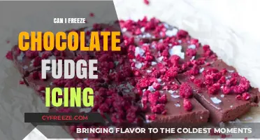 Sweet Success: The Ultimate Guide to Freezing Chocolate Fudge Icing
