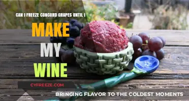 Concord Grape Preservation: Freezing Techniques for Future Wine Making