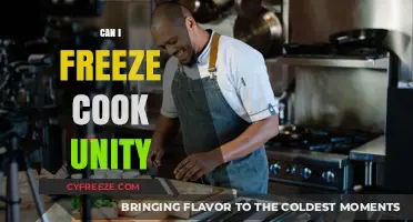Exploring the Possibilities: Can You Freeze Cook in Unity?
