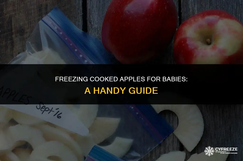 can i freeze cooked apple for baby