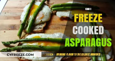 Preserve the Flavor: A Guide to Freezing Cooked Asparagus