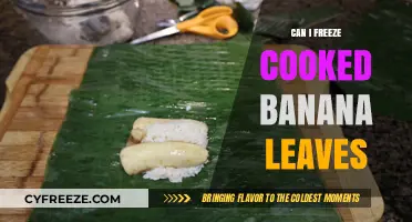 Exploring the Freezing Potential of Cooked Banana Leaves