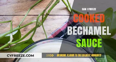 Mastering the Art of Freezing Cooked Béchamel Sauce