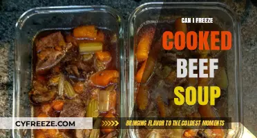 Freezing Cooked Beef Soup: A Handy Guide for Meal Prep