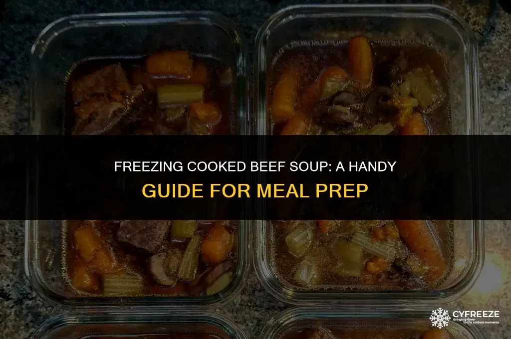 can i freeze cooked beef soup