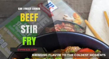 Stir-Fry Storage: Freezing Cooked Beef Stir-Fry for Later