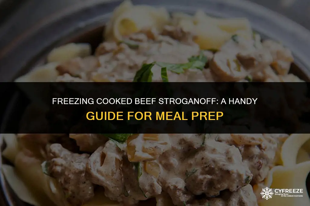 can i freeze cooked beef stroganoff