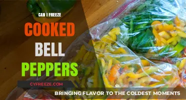 Preserve the Flavor: Freezing Cooked Bell Peppers Made Easy