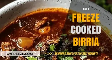 Freezing Cooked Birria: A Comprehensive Guide to Preservation