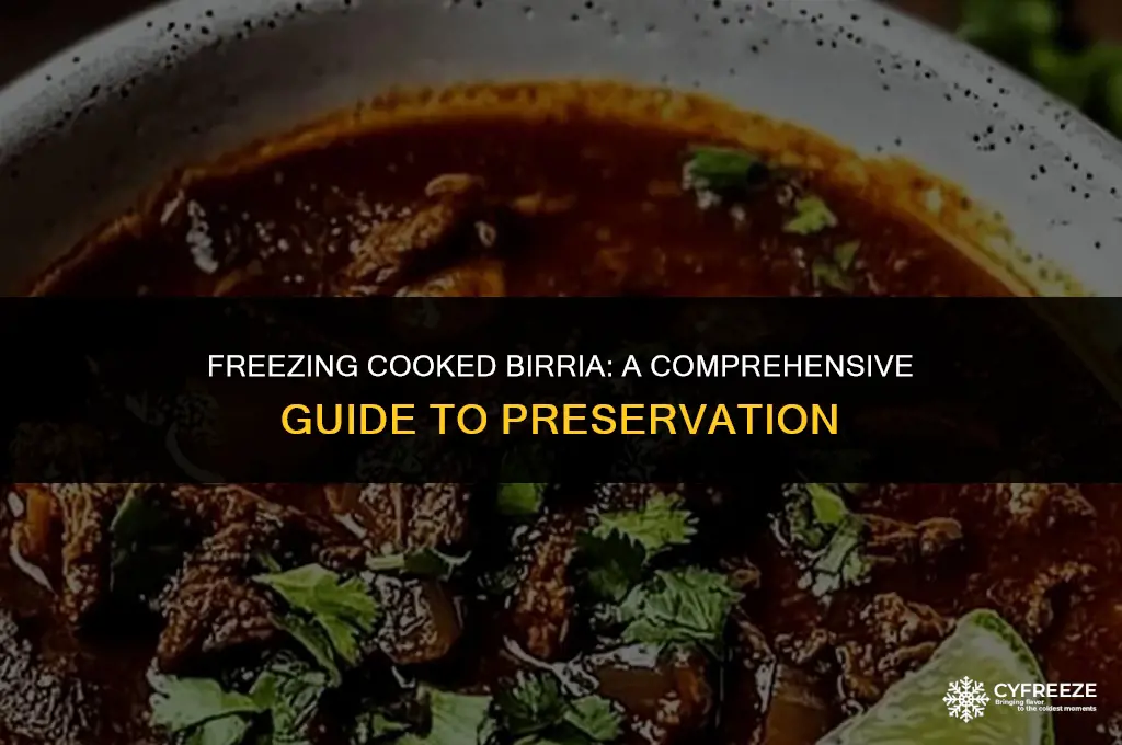 can i freeze cooked birria