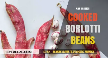 Freezing Cooked Borlotti Beans: A Handy Guide for Leftovers