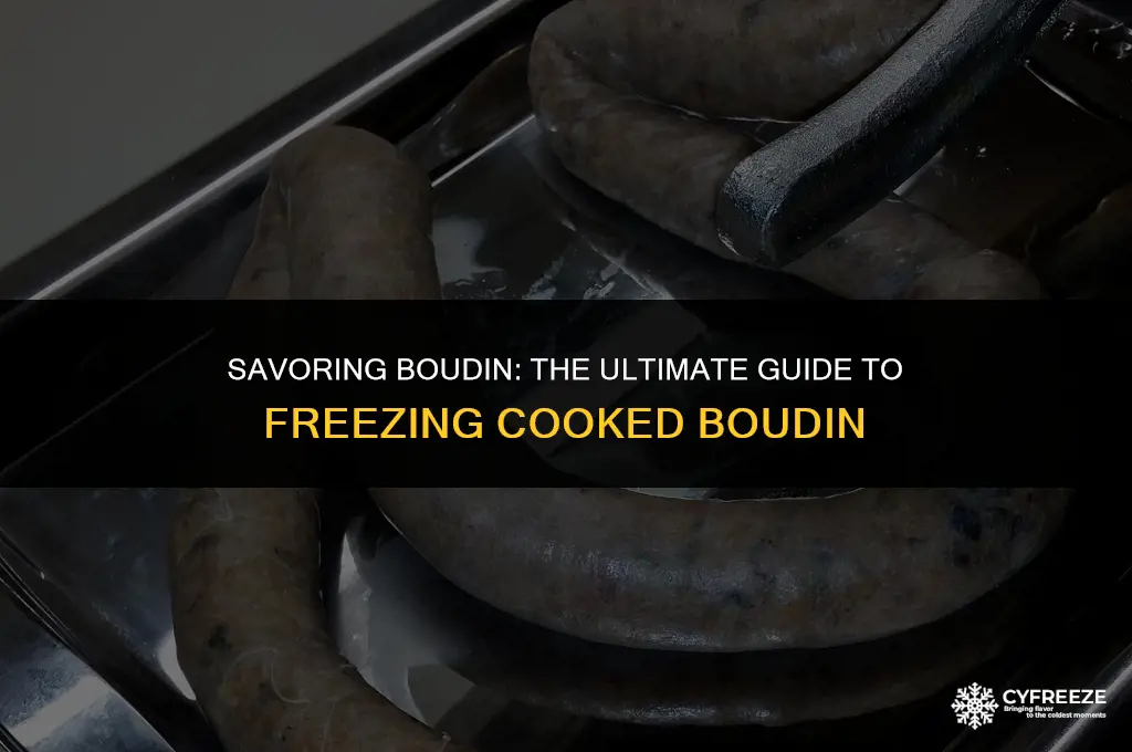 can i freeze cooked boudin