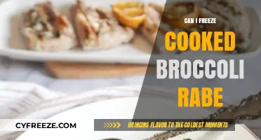 Freezing Cooked Broccoli Rabe: A Handy Guide for Food Lovers