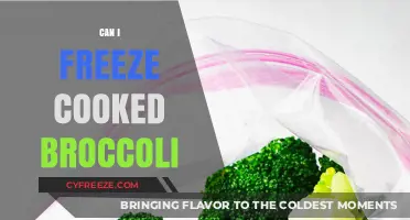 Freezing Cooked Broccoli: A Simple Guide to Preserve Its Freshness