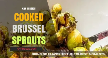 Freezing Cooked Brussels Sprouts: A Handy Guide for Meal Prep