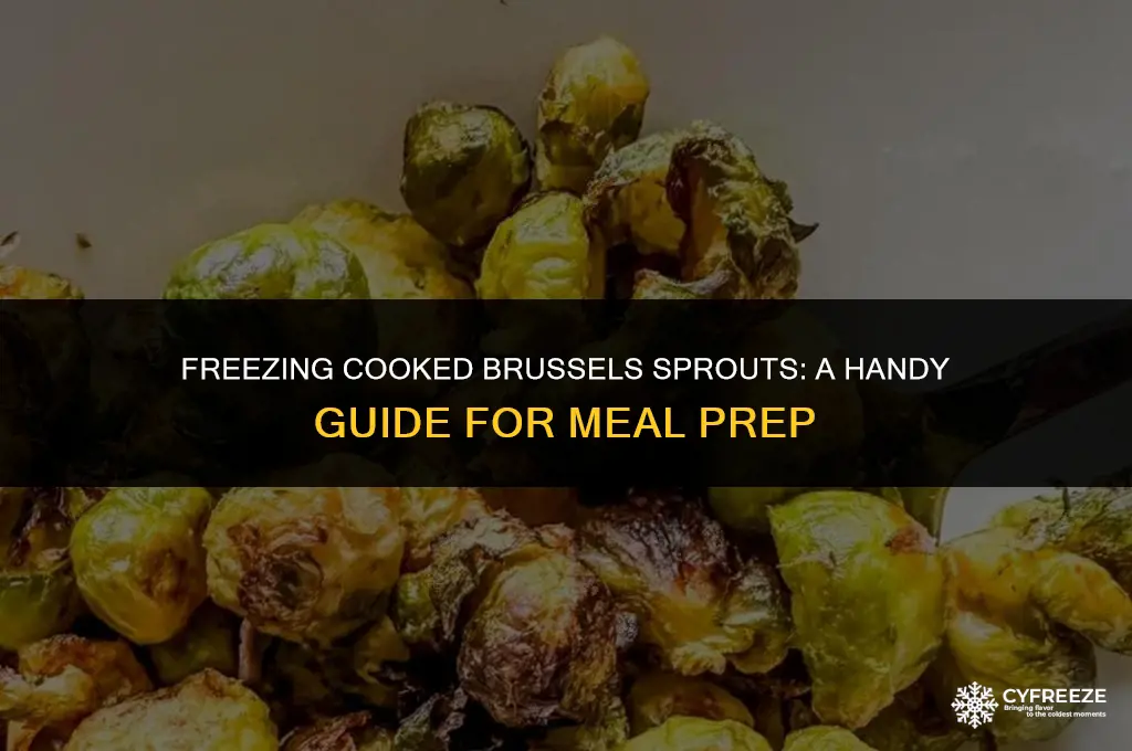 can i freeze cooked brussel sprouts