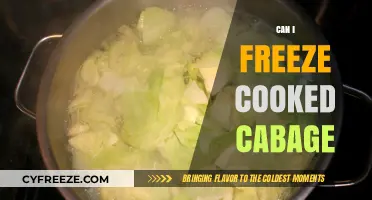 Freezing Cooked Cabbage: A Handy Guide for Food Preservation