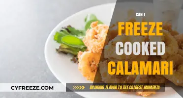 Savoring Seafood: The Do's and Don'ts of Freezing Cooked Calamari