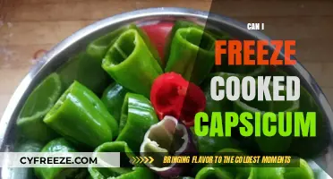 Preserve the Flavor: Freezing Cooked Capsicum Made Easy