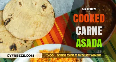 Savor the Flavor: Freezing Cooked Carne Asada for Later Delights