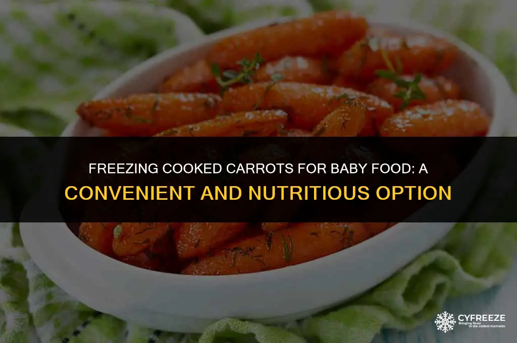can i freeze cooked carrots for baby food