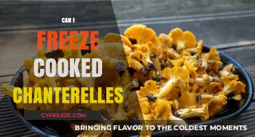 Savoring Summer's Bounty: Freezing Cooked Chanterelles for Year-Round Delight