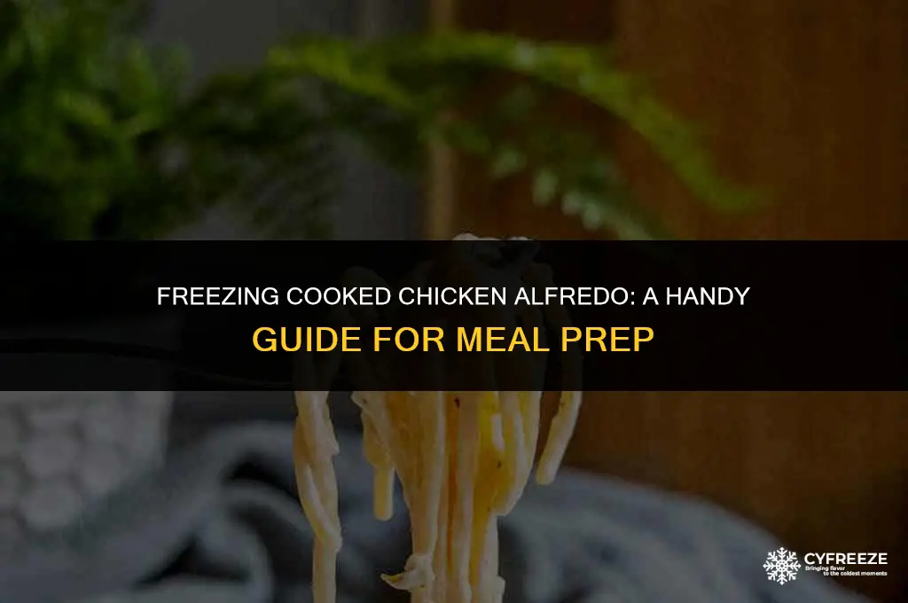 can i freeze cooked chicken alfredo