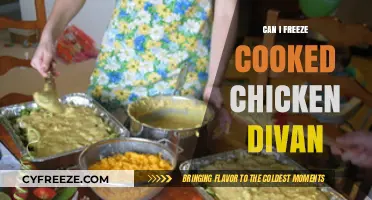 Freezing Cooked Chicken Divan: A Handy Guide for Meal Prep