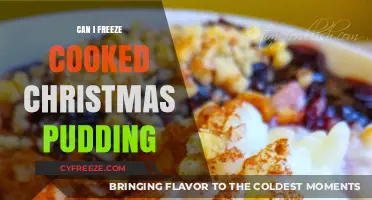 Festive Food Storage: Freezing Cooked Christmas Pudding Made Easy