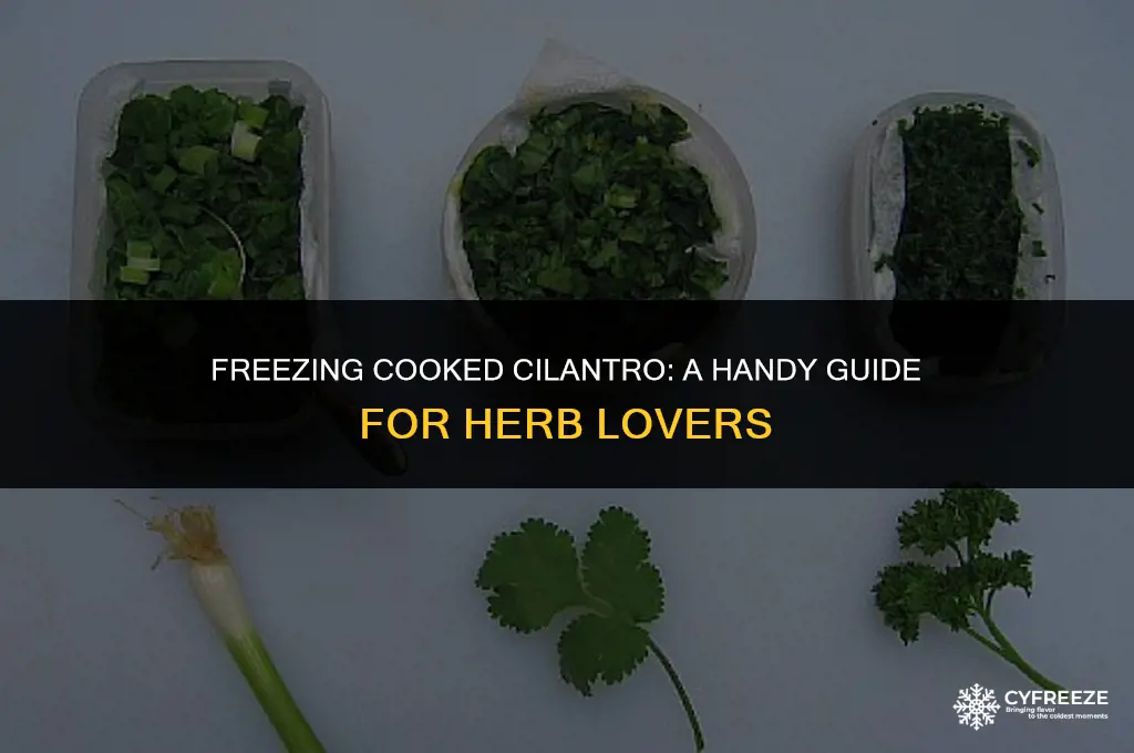 can i freeze cooked cilantro