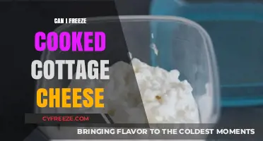 Freezing Cooked Cottage Cheese: A Handy Guide for Food Storage