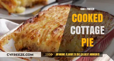 Freezing Cooked Cottage Pie: A Handy Guide for Leftovers