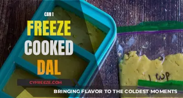 Freezing Cooked Dal: A Convenient Meal Prep Solution
