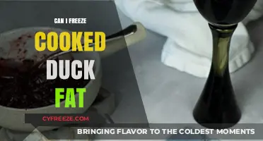 Preserve the Flavor: Freezing Cooked Duck Fat Made Easy