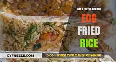 Egg-cellent Idea: Freezing Cooked Egg Fried Rice for Later