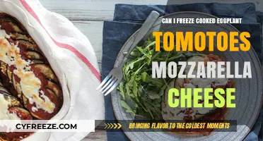 Delicious Eggplant, Tomatoes, and Mozzarella: A Guide to Freezing Your Favorite Dish