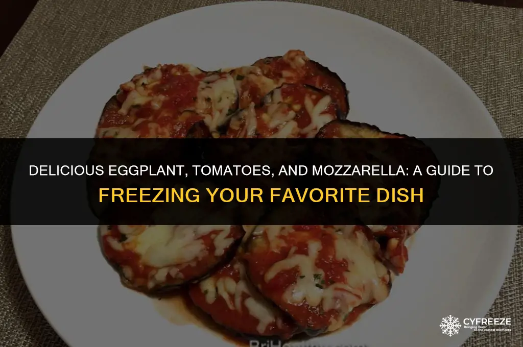 can i freeze cooked eggplant tomotoes mozzarella cheese