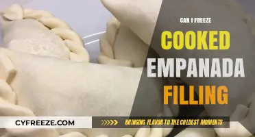 Freezing Cooked Empanada Filling: A Handy Guide for Leftovers