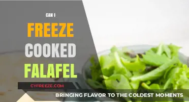 Freezing Cooked Falafel: A Handy Guide for Meal Prep