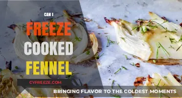 Exploring the Freezing Potential of Cooked Fennel: A Comprehensive Guide