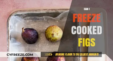 Preserve the Sweetness: A Guide to Freezing Cooked Figs