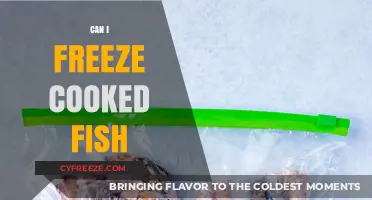 Freshness Preserved: The Ultimate Guide to Freezing Cooked Fish