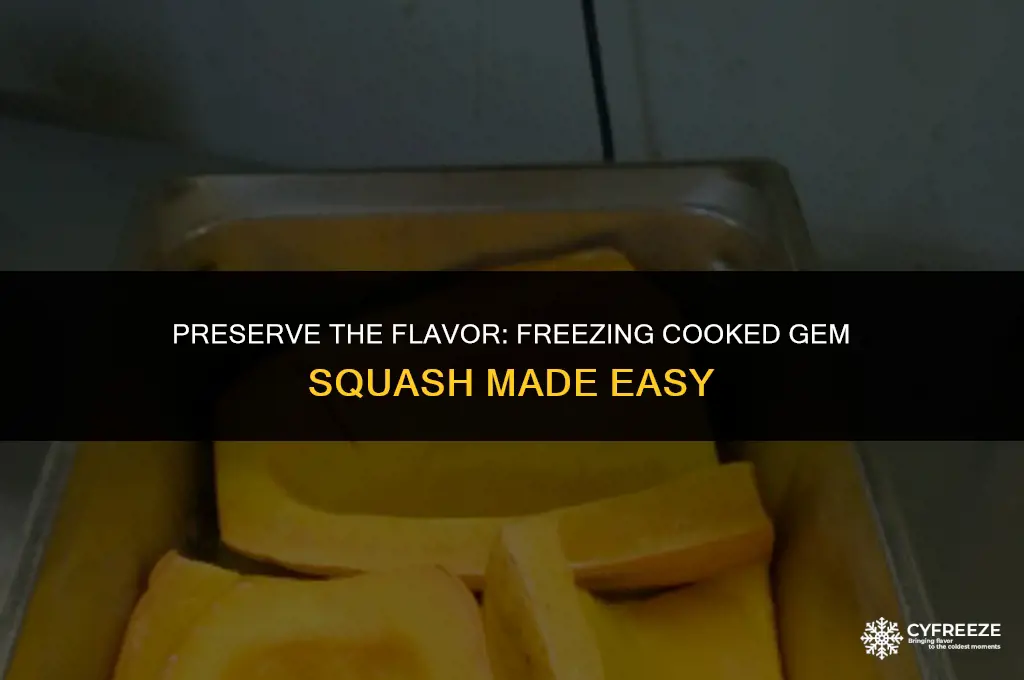 can i freeze cooked gem squash