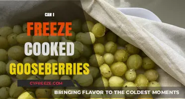 Sweet Preservation: The Ultimate Guide to Freezing Cooked Gooseberries
