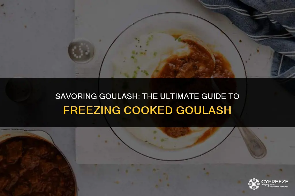 can i freeze cooked goulash