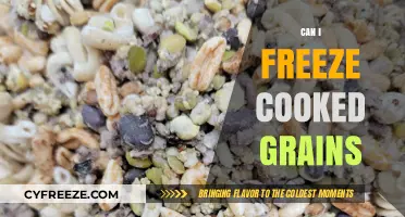Smart Storage: The Ultimate Guide to Freezing Cooked Grains