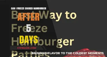 Reviving Leftovers: Can You Freeze Cooked Hamburger After 5 Days?